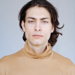 تصویر هنرمند Toto Dumitrescu