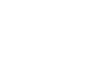 لوگوی رسمی فیلم Fired Up! (2009)