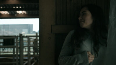 Teaser for Anonymous Animals