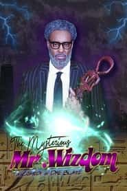پوستر رسمی فیلم The Mysterious Mr. Wizdom (2020)