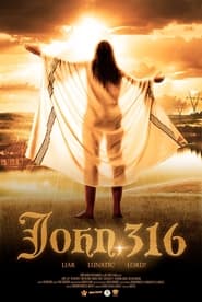 پوستر رسمی فیلم John, 316 (2021)