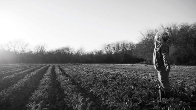 Teaser for The Dog Who Wouldn’t Be Quiet