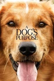پوستر رسمی فیلم A Dog's Purpose (2017)