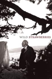 پوستر رسمی فیلم Wild Strawberries (1957)