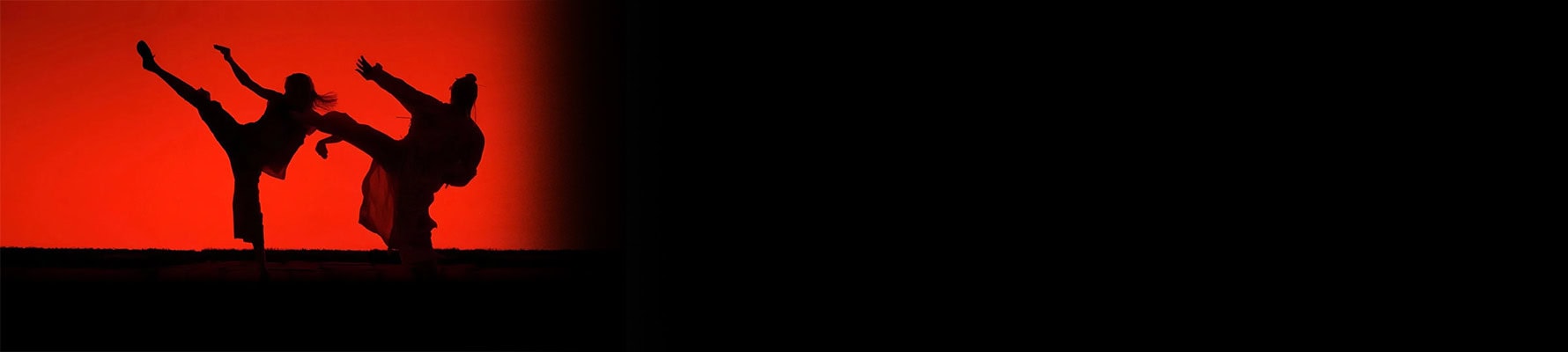 Image from Kill Bill: Vol. 2 - 1