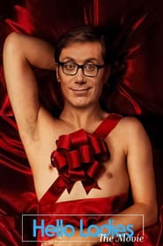 پوستر رسمی فیلم Hello Ladies: The Movie (2014)