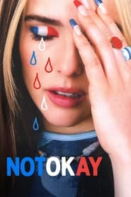 پوستر رسمی فیلم Not Okay (2022)