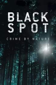 پوستر رسمی فیلم Black Spot (2025)