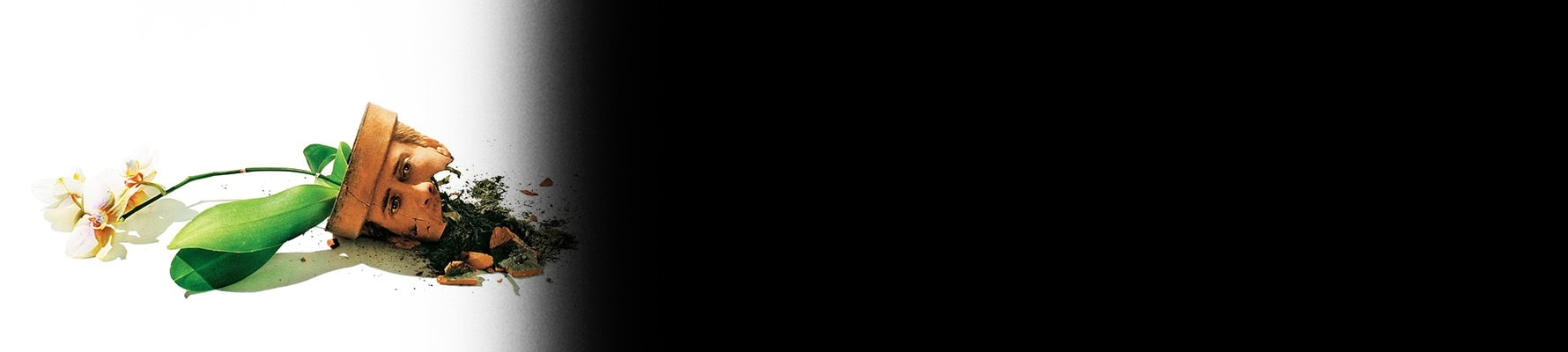 تصویری از Adaptation. - شماره 1