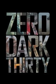 پوستر رسمی فیلم Zero Dark Thirty (2012)