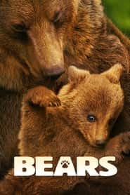 پوستر رسمی فیلم Bears (2014)