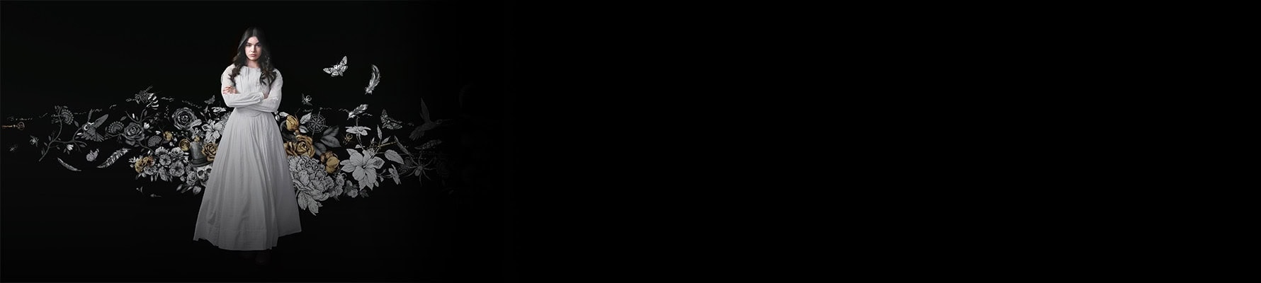 تصویری از Dickinson - شماره 1