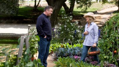 Teaser for It’s Complicated