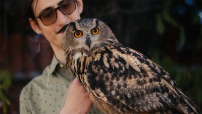 Teaser for Rite of the Shaman