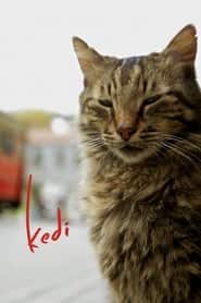 پوستر رسمی فیلم Kedi (2017)