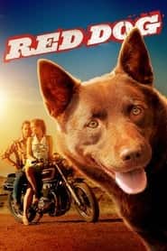 پوستر رسمی فیلم Red Dog (2011)