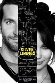پوستر رسمی فیلم Silver Linings Playbook (2012)