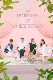 پوستر رسمی سریال The Secret Life of My Secretary (2019)