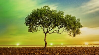 Teaser for A Perfect Planet