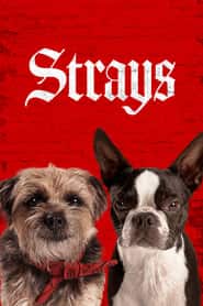 پوستر رسمی فیلم Strays (2023)