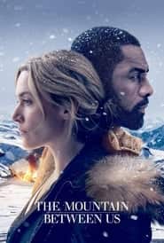 پوستر رسمی فیلم The Mountain Between Us (2017)