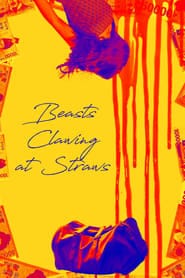 پوستر رسمی فیلم Beasts Clawing at Straws (2020)