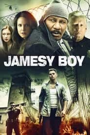 پوستر رسمی فیلم Jamesy Boy (2014)