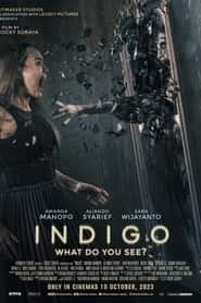 پوستر رسمی فیلم Indigo (2023)