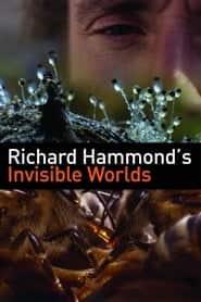 پوستر رسمی سریال Richard Hammond's Invisible Worlds (2010)