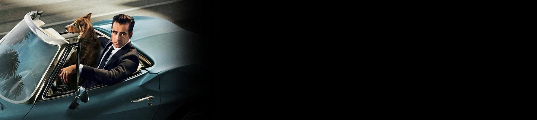 تصویری از Sugar - شماره 1