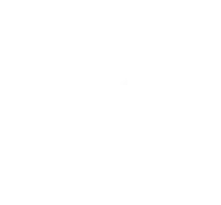 لوگوی رسمی فیلم The Godfather Part II (1974)