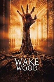 پوستر رسمی فیلم Wake Wood (2011)