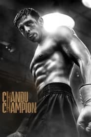 پوستر رسمی فیلم Chandu Champion (2024)
