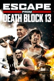 پوستر رسمی فیلم Escape from Death Block 13 (2021)