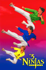 پوستر رسمی فیلم 3 Ninjas Kick Back (1994)