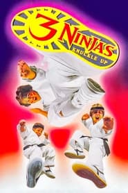 پوستر رسمی فیلم 3 Ninjas Knuckle Up (1995)