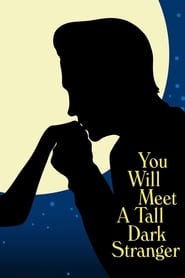 پوستر رسمی فیلم You Will Meet a Tall Dark Stranger (2010)