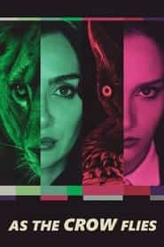 پوستر رسمی سریال As the Crow Flies (2022)