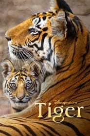 پوستر رسمی فیلم Tiger (2024)