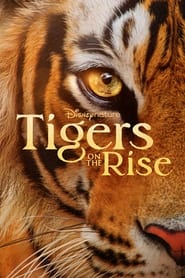 پوستر رسمی فیلم Tigers on the Rise (2024)