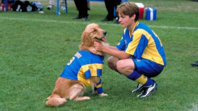 Teaser for Air Bud: World Pup