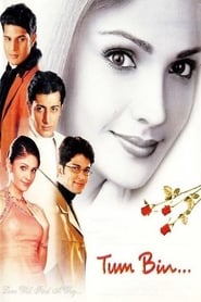 پوستر رسمی فیلم Tum Bin (2001)