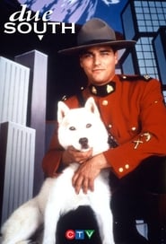 پوستر رسمی سریال Due South (1994)