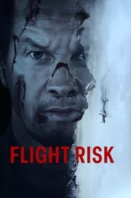 پوستر رسمی فیلم Flight Risk (2025)