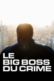 پوستر رسمی سریال The Big Boss: A 21st Century Criminal (2019)
