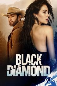 پوستر رسمی فیلم Black Diamond (2025)