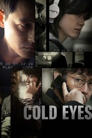 پوستر رسمی فیلم Cold Eyes (2013)