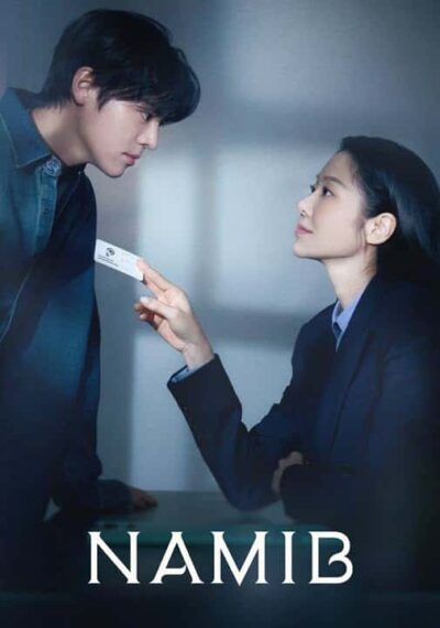 پوستر رسمی سریال Namib (2024)