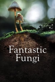 پوستر رسمی فیلم Fantastic Fungi (2019)