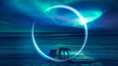 Teaser for Frozen Planet II